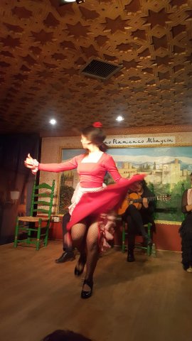 556 granada flamenco show